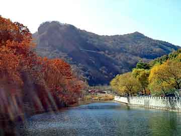 新澳门二四六天天彩，二郎神倒车雷达